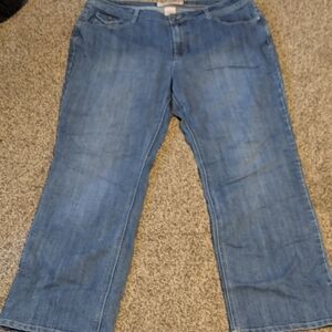 Classic Blue Women's Stretchy Jeans.